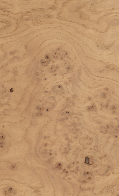 Natural Burr Oak